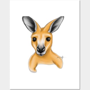 Cute Kangaroo Drawing Posters and Art